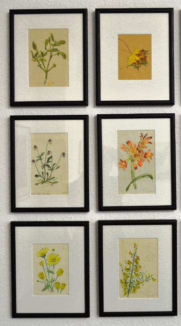 Albert Schäfer- Ast Natrustudien 1- 6