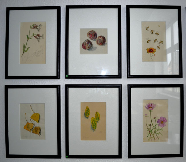 Albert Schäfer- Ast Natrustudien 16- 21