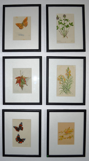 Albert Schäfer- Ast Naturstudien 10- 15