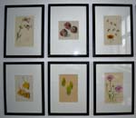 Albert Schäfer- Ast Natrustudien 16- 21